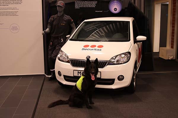 securitas_experience_center_malmo_canine_security_600x400.jpg